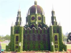 Topiary Photo